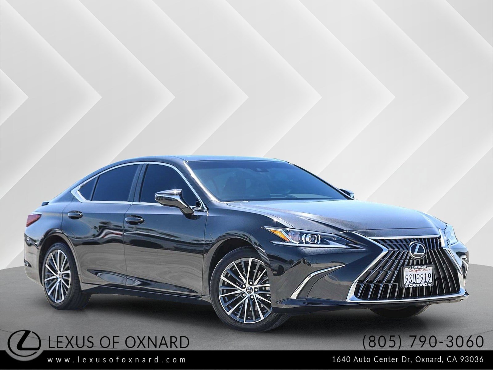 2025 Lexus ES 300h 300h's photo