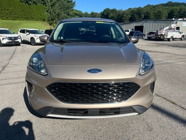 Used 2020 Desert Gold Metallic Ford SE image 11