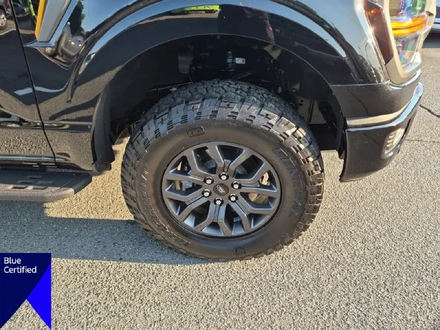 Used 2025 Black Ford Tremor image 12