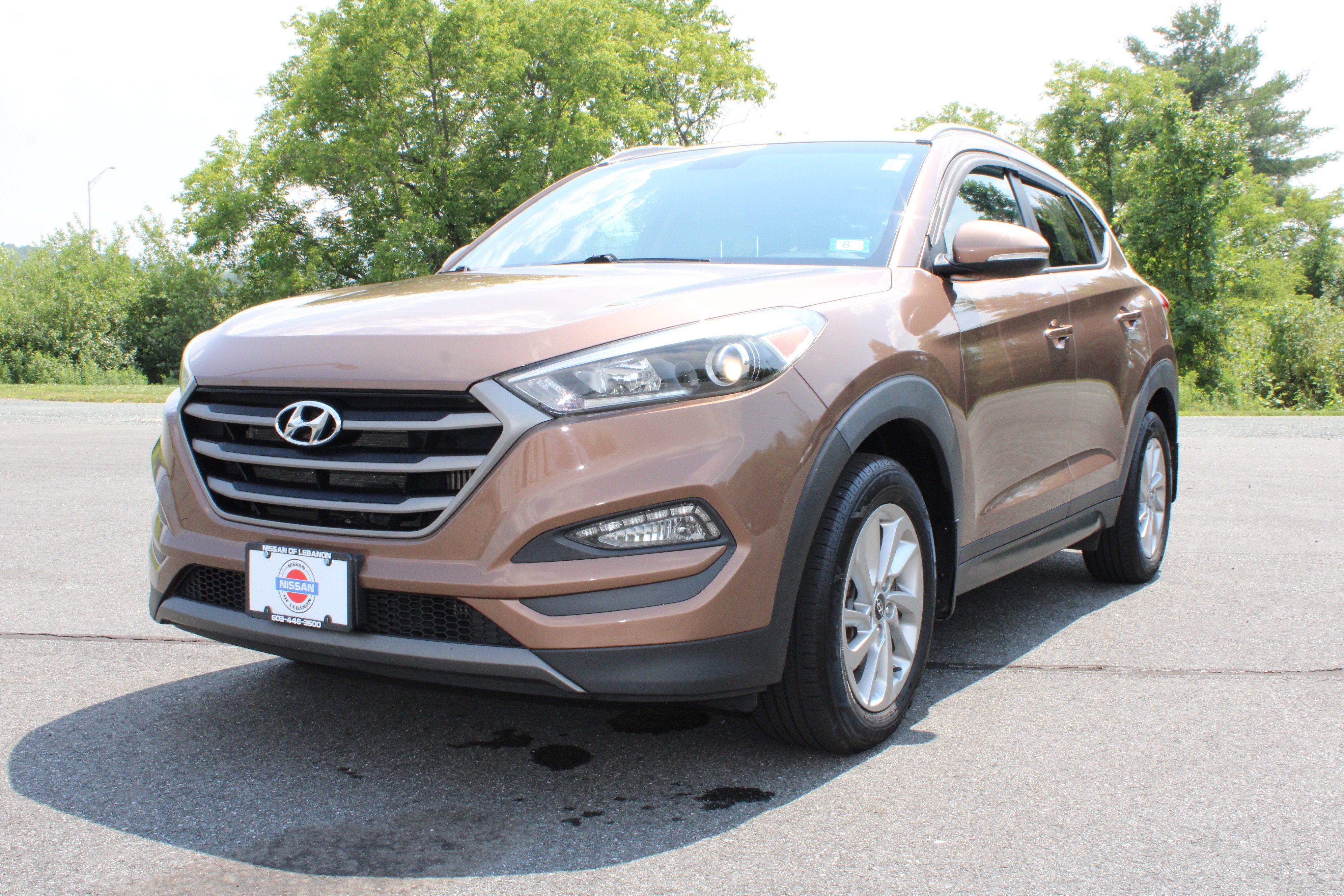 Used 2016 Mojave Sand Hyundai Eco image 1