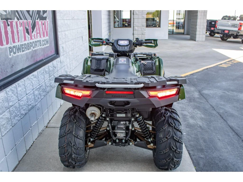 New 2026 Metallic Gold Sparkle Deep Green Kawasaki  image 11