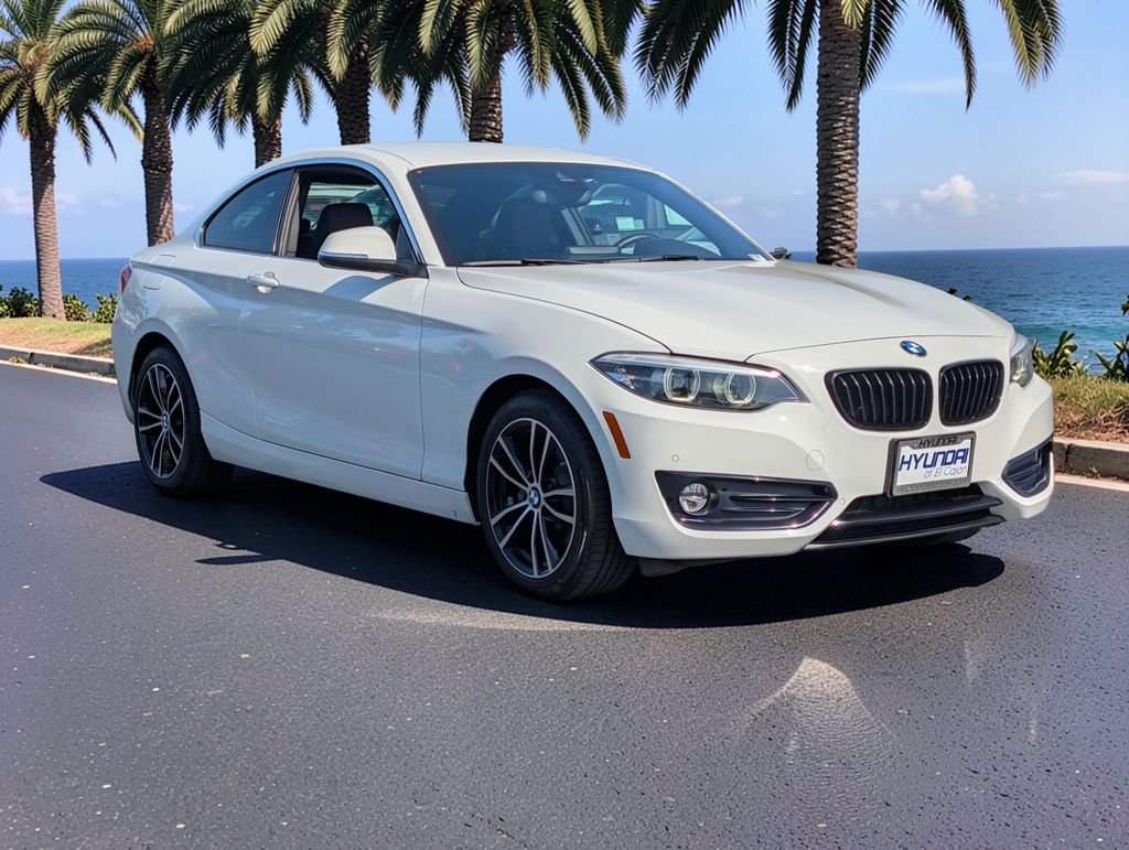 2020 BMW 2 Series 230i - Photo 4