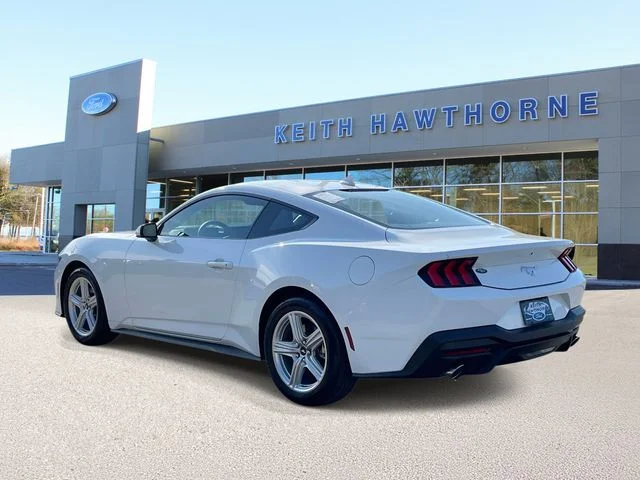New 2026 Oxford White Ford EcoBoost® Fastback image 4
