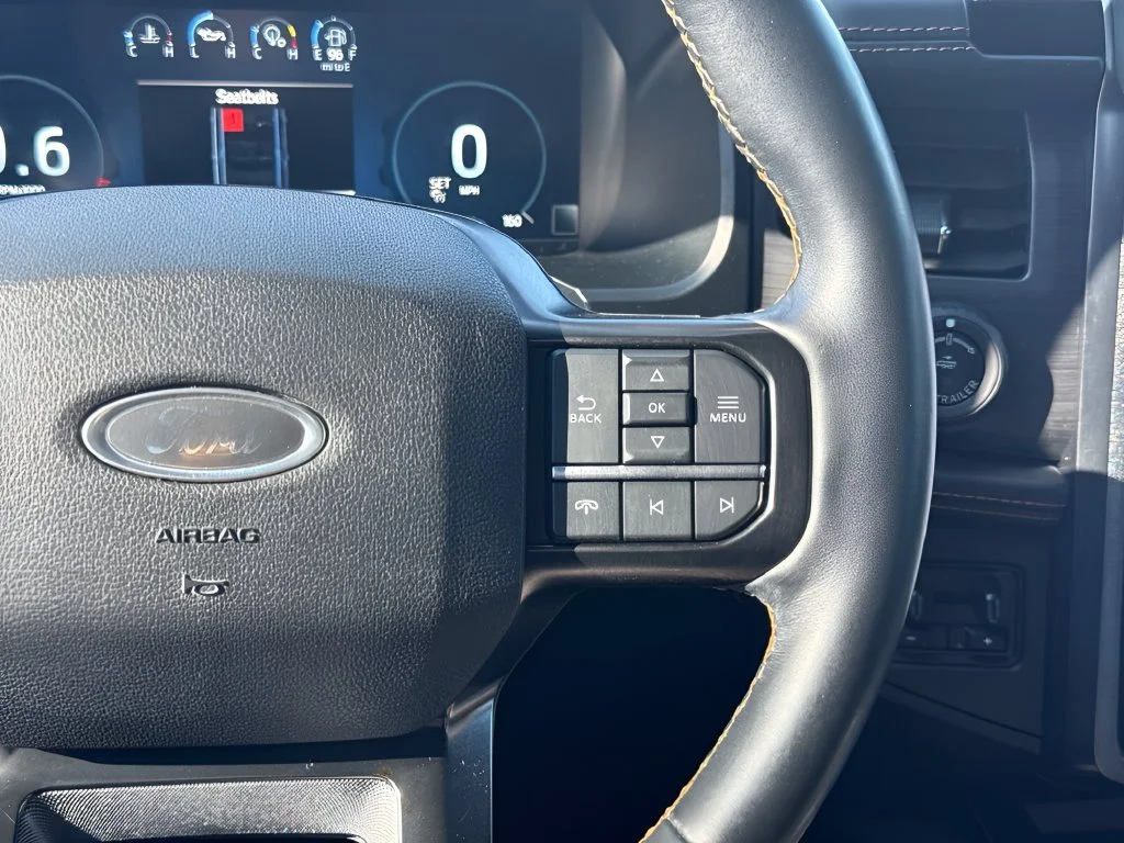 Used 2023 Black Ford Platinum image 16