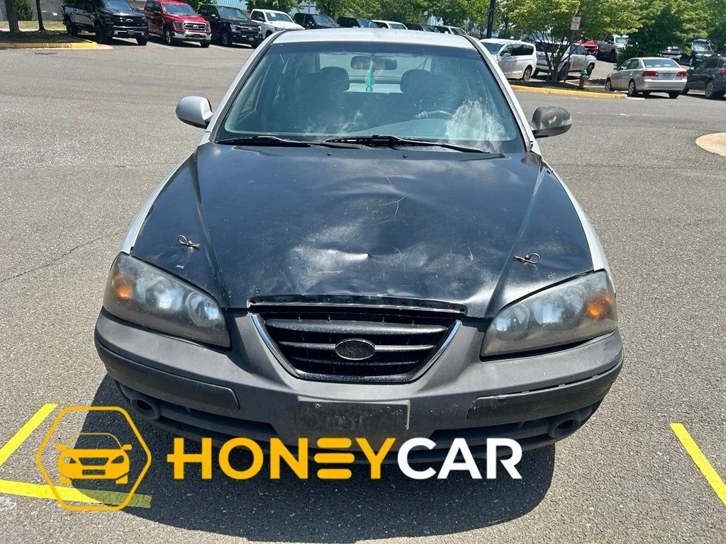 Used 2006  Hyundai GLS image 1
