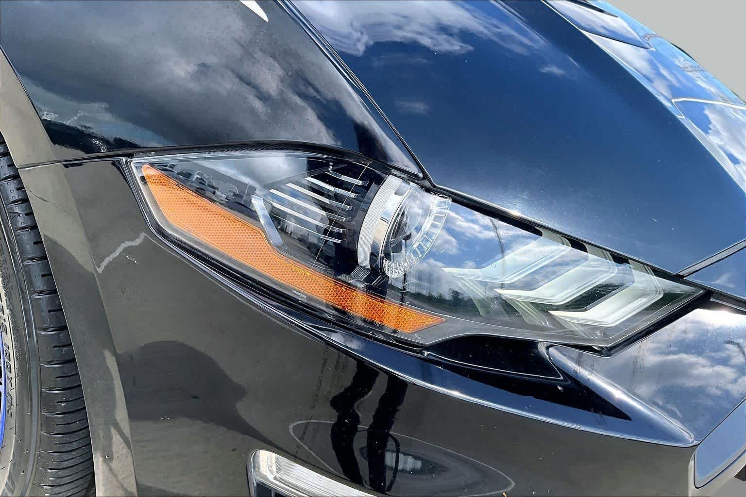 Used 2019 Shadow Black Ford EcoBoost Premium image 22
