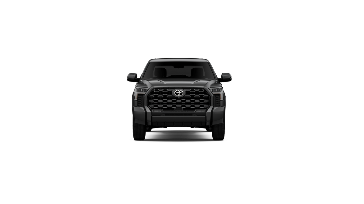 New 2025 Magnetic Gray Metallic Toyota Platinum i-FORCE MAX image 39