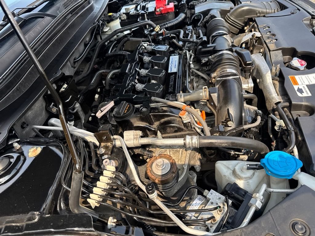 Used 2019 Black Honda Sport image 44