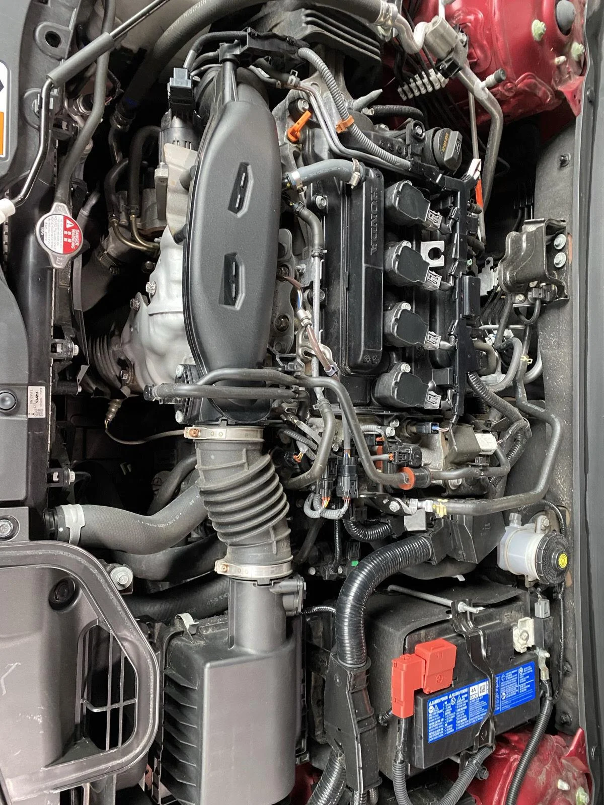 Used 2023 Radiant Red Metallic Honda LX image 9