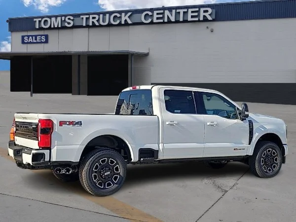 New 2027 STAR WHITE Ford Platinum image 3