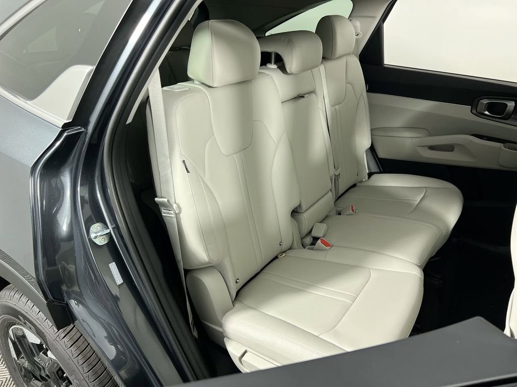 New 2026 Panthera Metal Kia S image 28