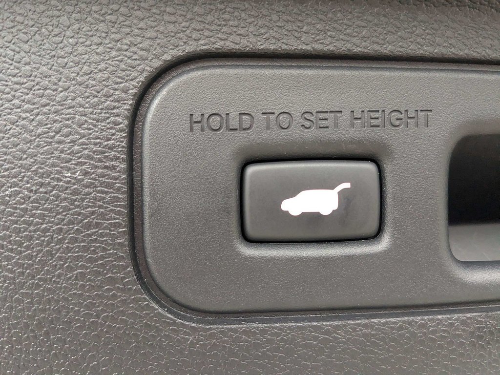 Used 2025 DK. GRAY Honda EX-L image 14