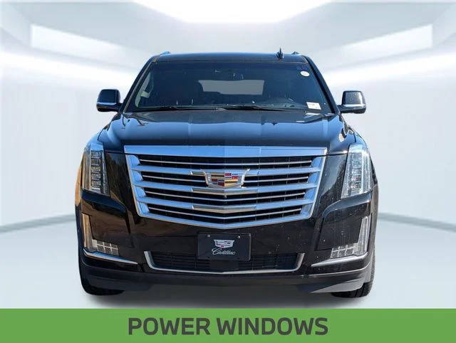 2020 Cadillac Escalade ESV Platinum - Photo 10