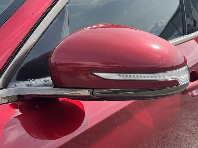 Used 2023 Red Genesis 3.3T image 46