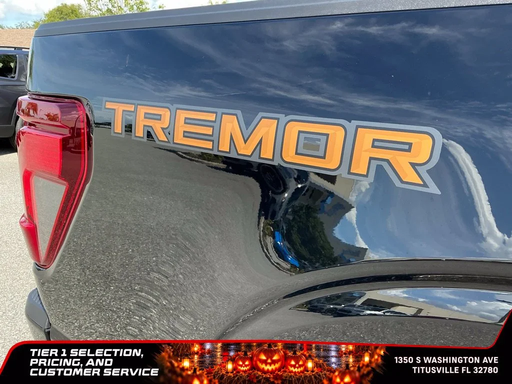 2025 Ford F-150 Tremor - Photo 19
