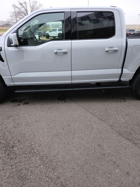 2025 Ford F-150 Platinum - Photo 30