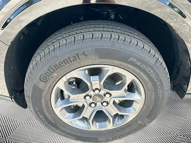 New 2026 Shadow Ford XLT image 18