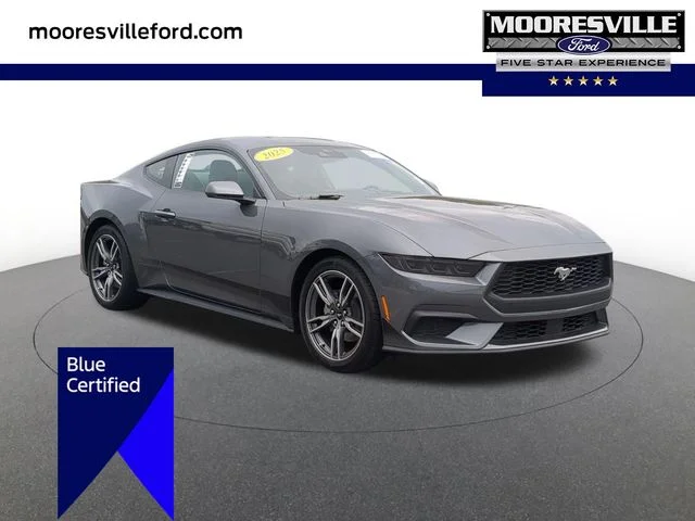 Used 2025 Gray Ford EcoBoost image 1