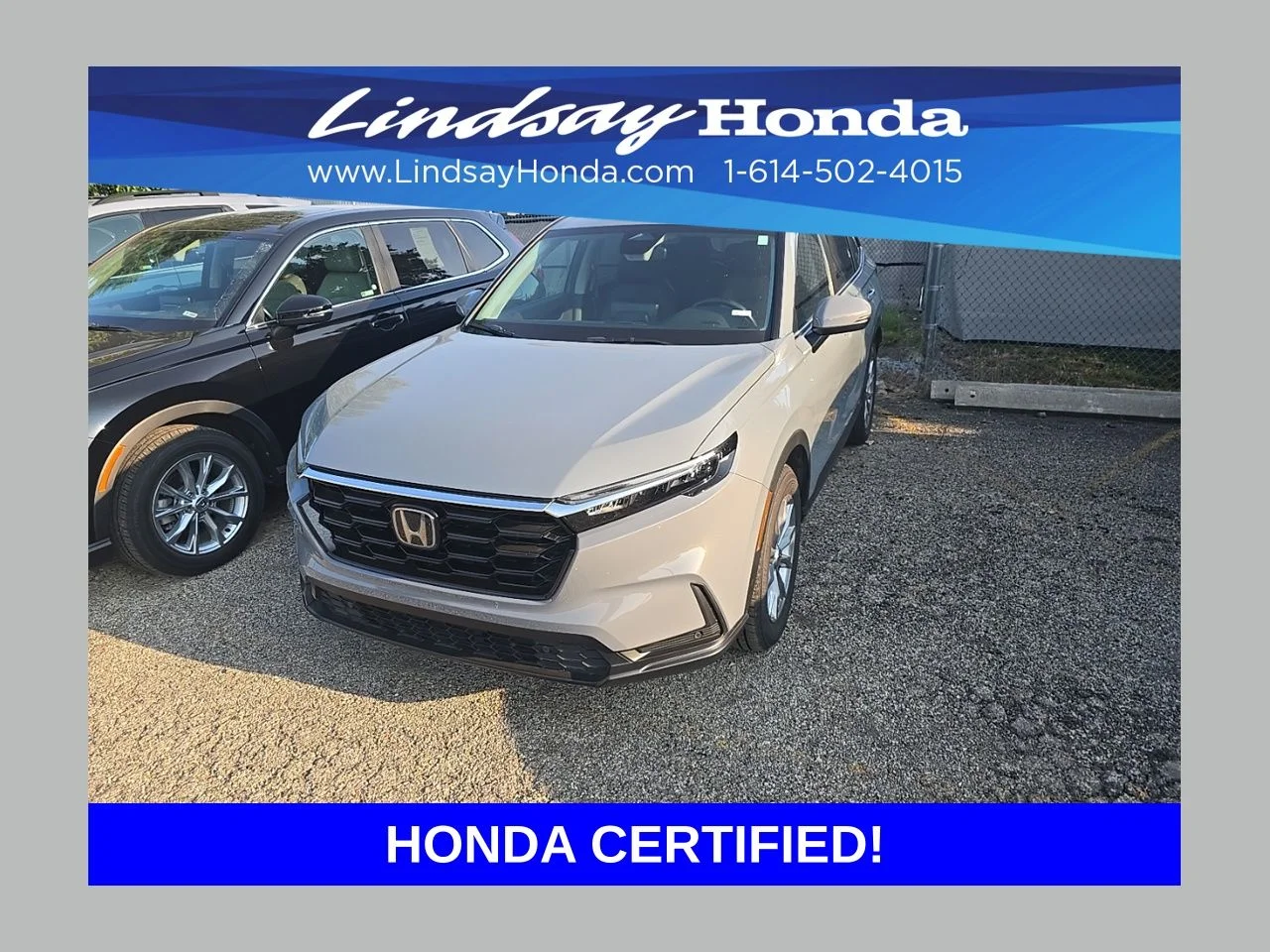 Certified Used 2025 Urban Gray Pearl Honda EX-L image 1