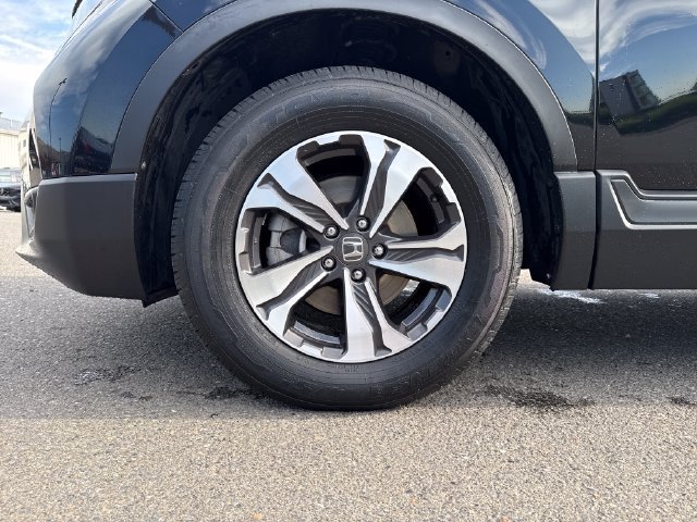 Used 2019 Crystal Black Pearl Honda LX image 29
