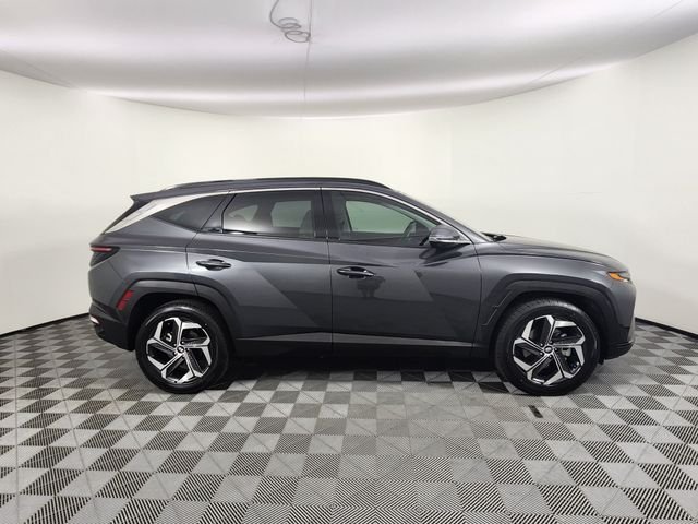 2024 Hyundai Tucson Limited - Photo 6