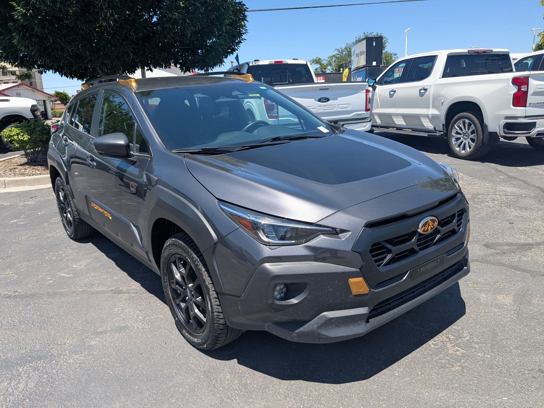 2024 Subaru Crosstrek Wilderness CVT's photo