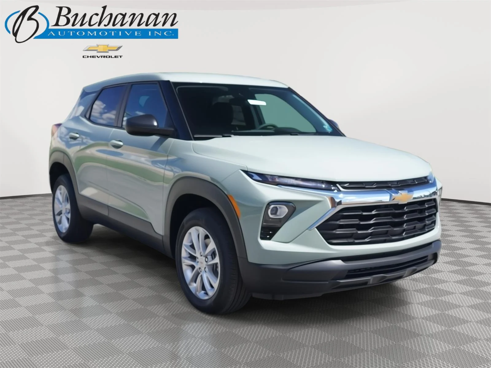 New 2026 Cacti Green Chevrolet LS image 1