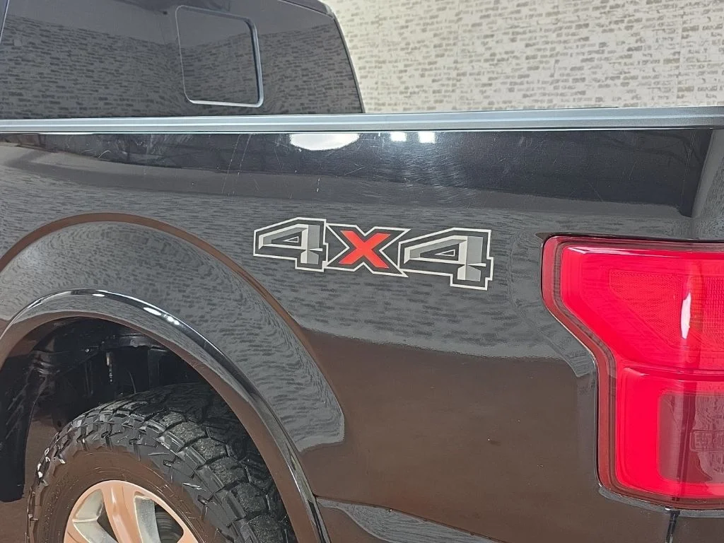 Used 2020 Black Ford Platinum image 5
