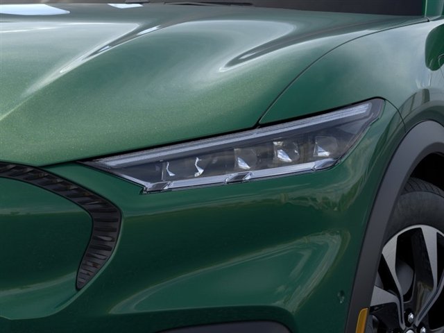 New 2024 Eruption Green Metallic Ford Select image 18