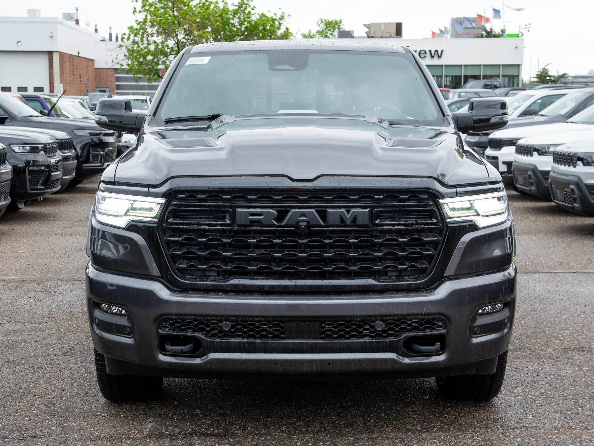 New 2026 Grey RAM Limited* image 7