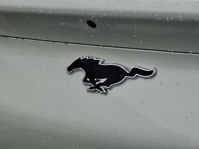 2025 Ford Mustang Mach-E Premium - Photo 17