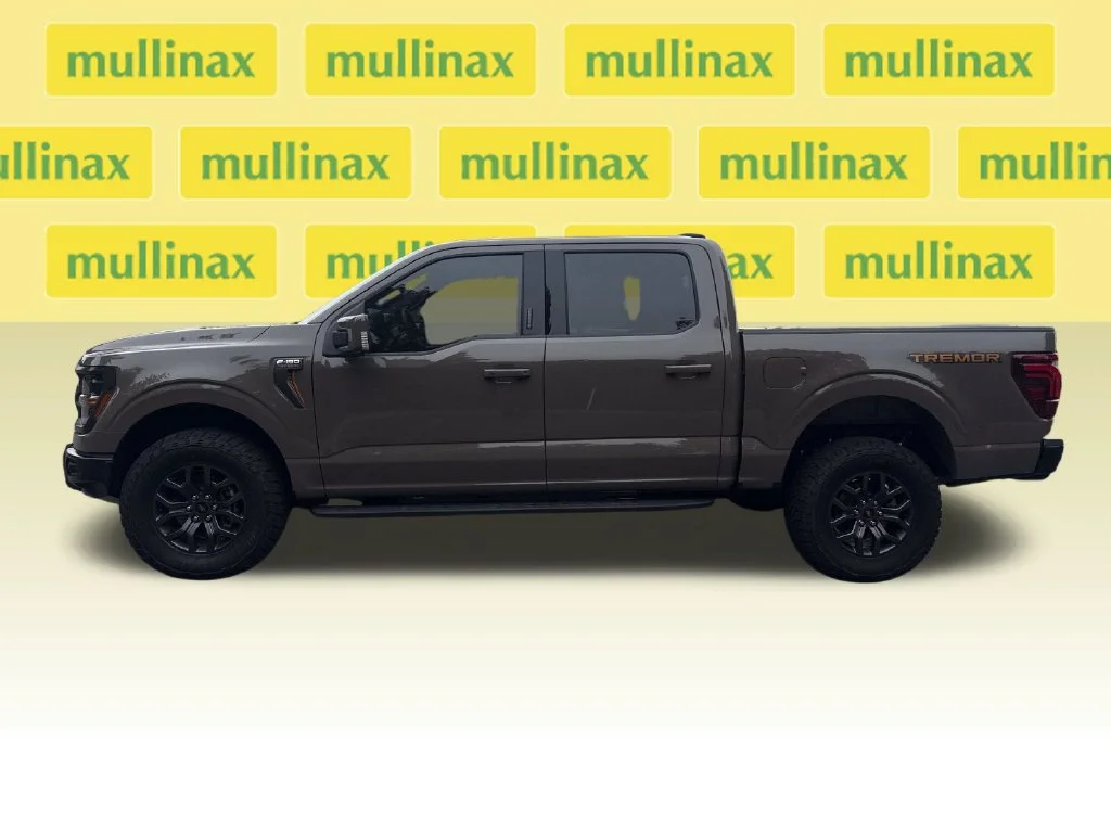New 2026 Gray Ford Tremor image 9