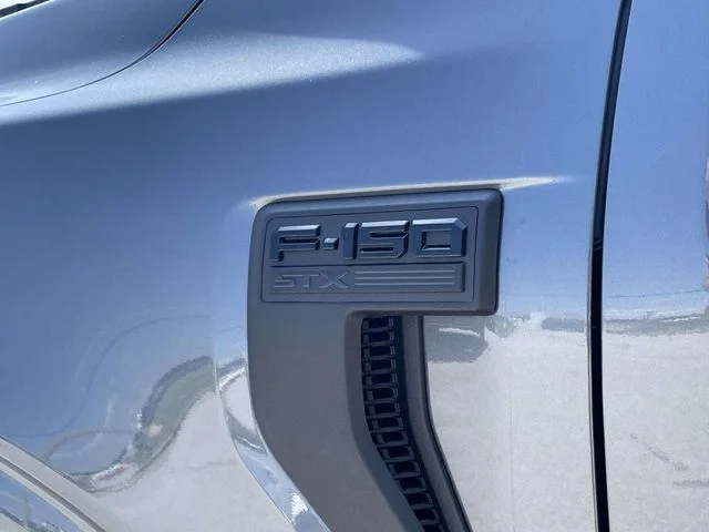 New 2026 Gray Ford STX image 6