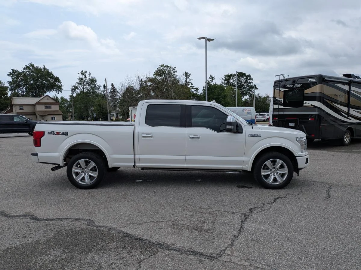 Used 2019 White Ford Platinum image 4