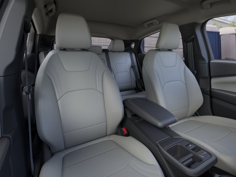New 2026 Shadow Black Ford Premium image 10