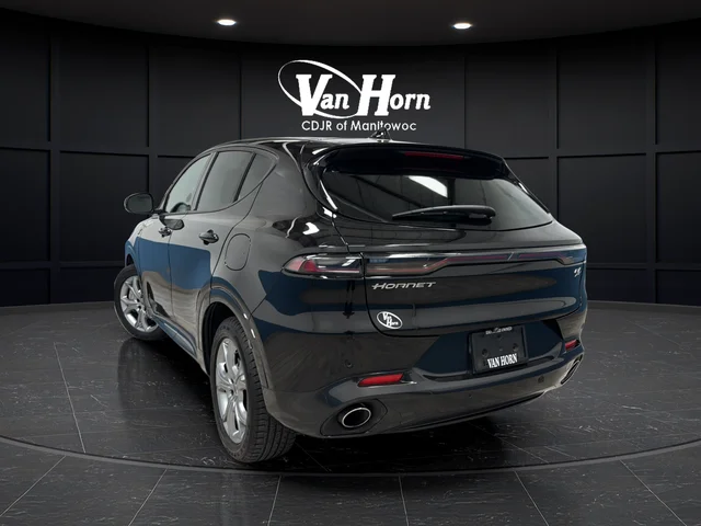 Used 2024 8 Ball Dodge R/T image 5