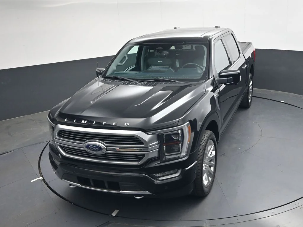 2021 Ford F-150 Limited - Photo 19