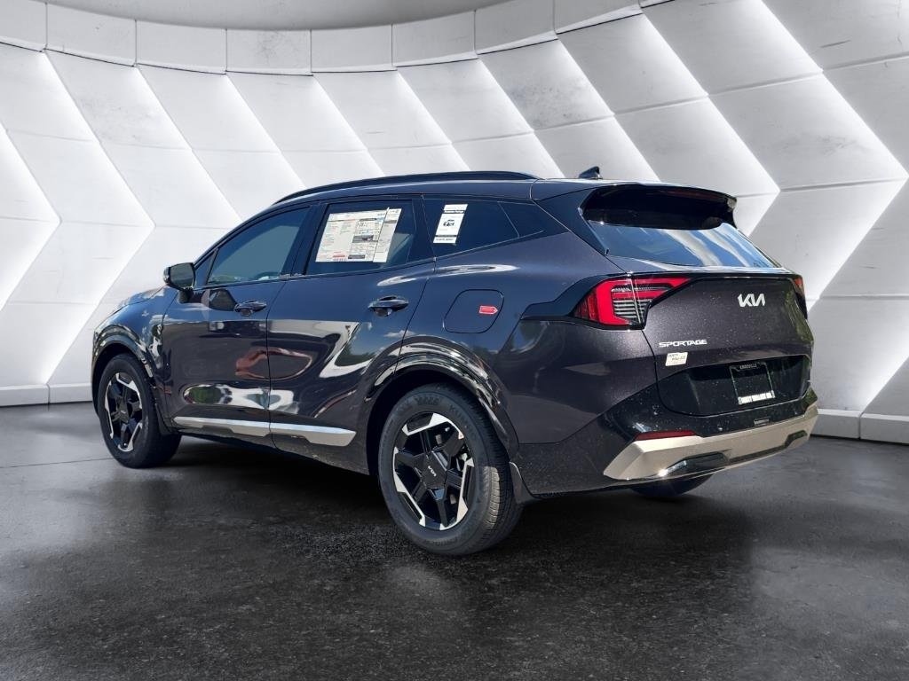 New 2026 Panthera Metal Kia SX image 3