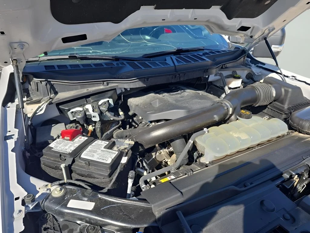 Used 2021 White Ford  image 38