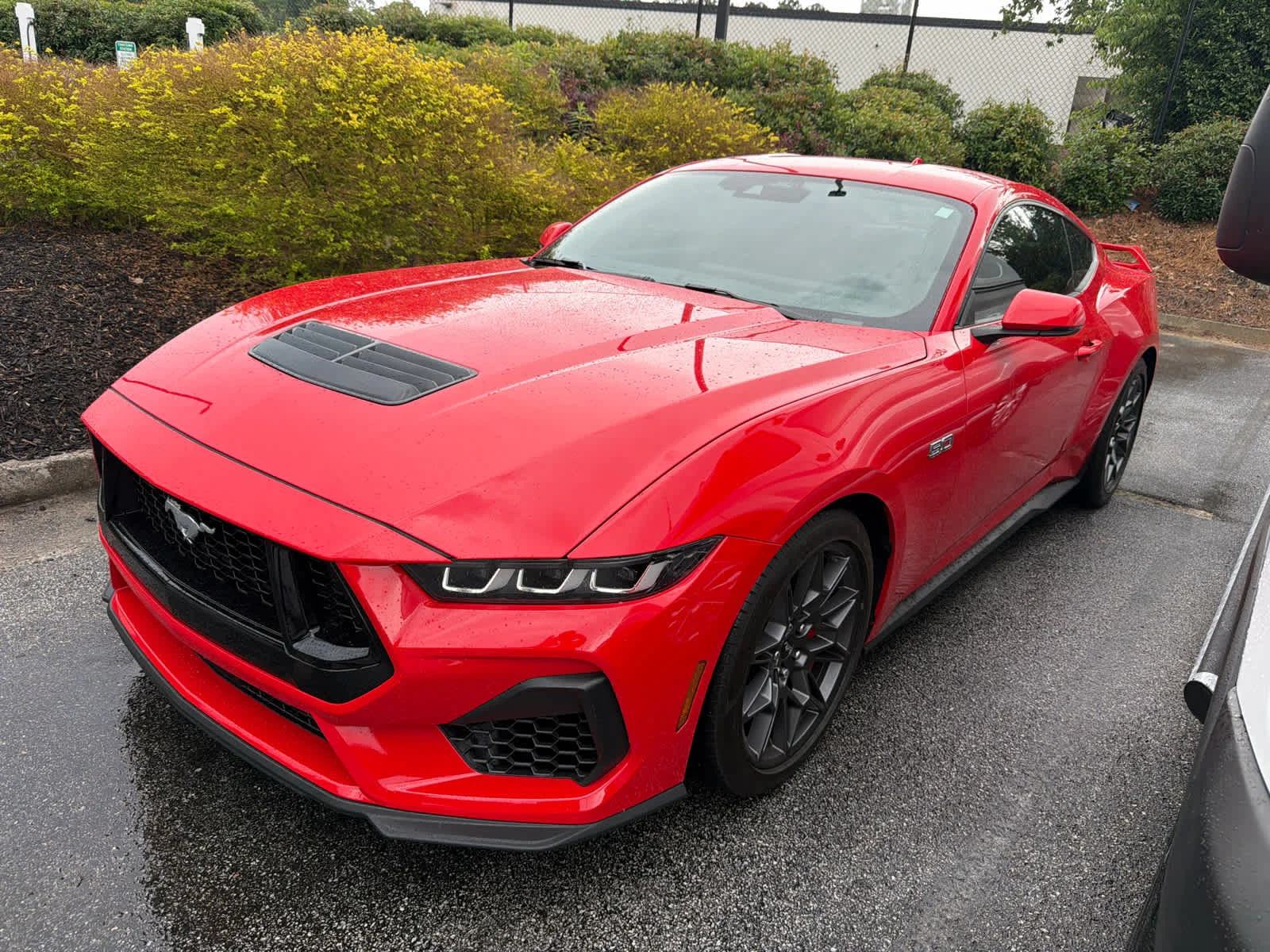 2024 Ford Mustang GT Premium Fastback's photo