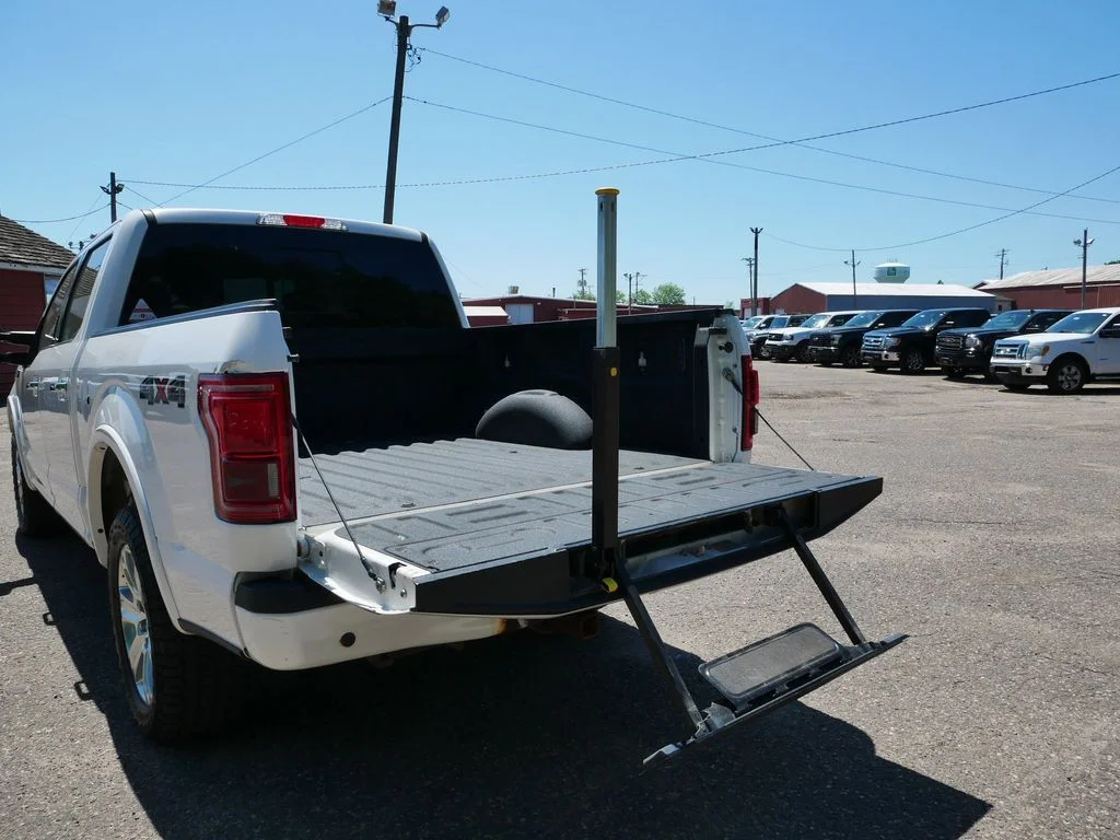 Used 2015 White Ford Platinum image 10