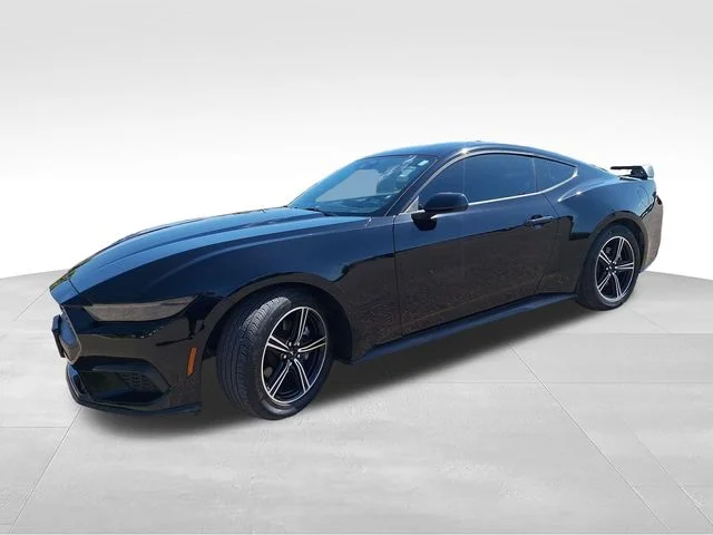 Used 2025 Black Ford EcoBoost image 3