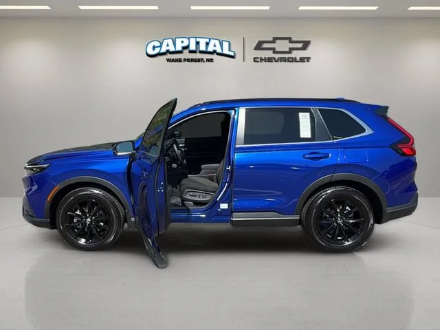 Used 2024 Blue Honda Sport image 3