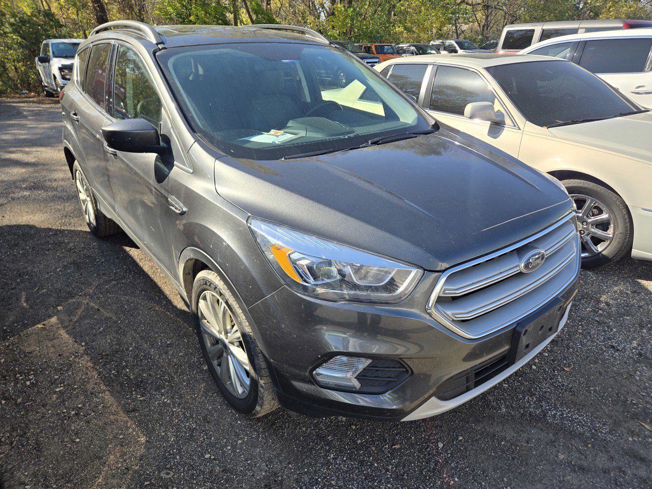 2019 Ford Escape