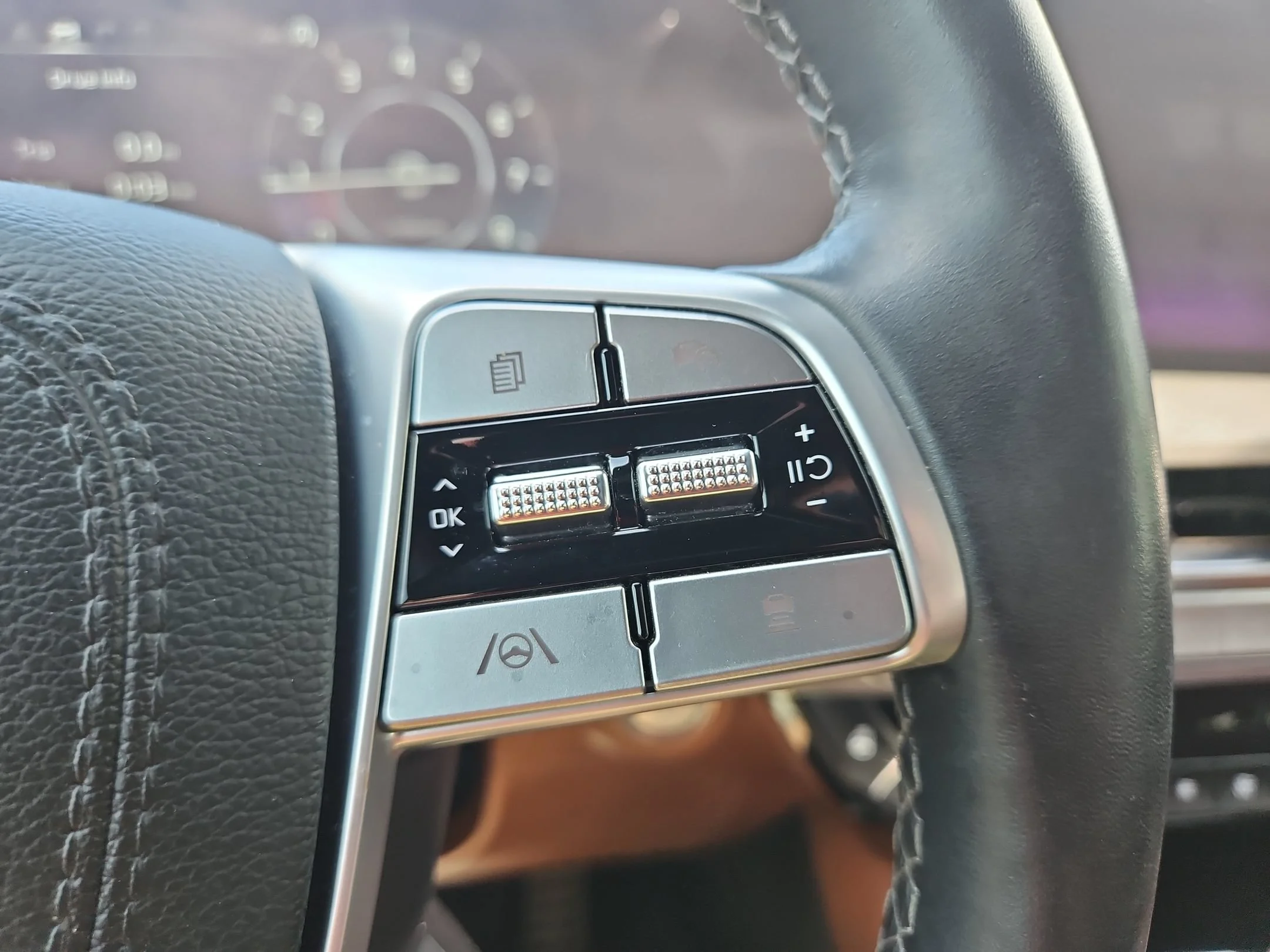 Used 2025 Panthera Metal Kia SX-Prestige X-Line image 29