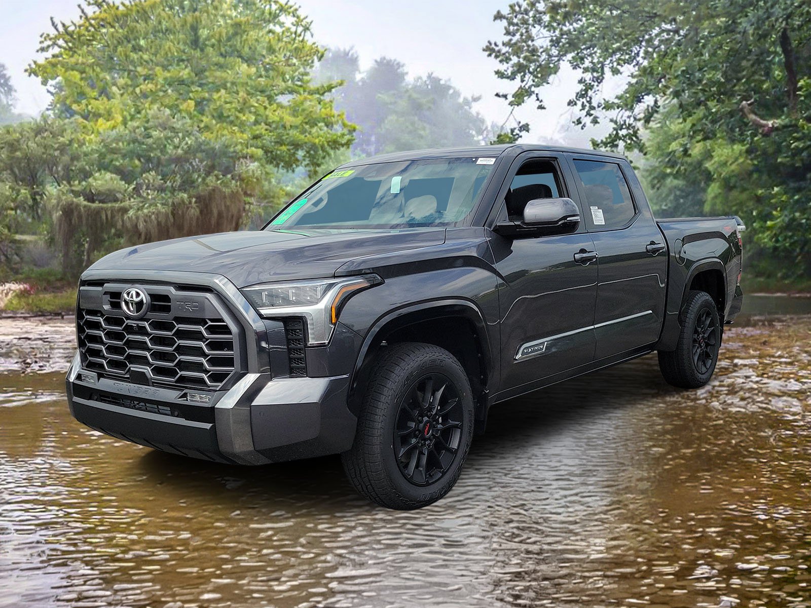 New 2026 Magnetic Gray Metallic Toyota  Platinum image 32