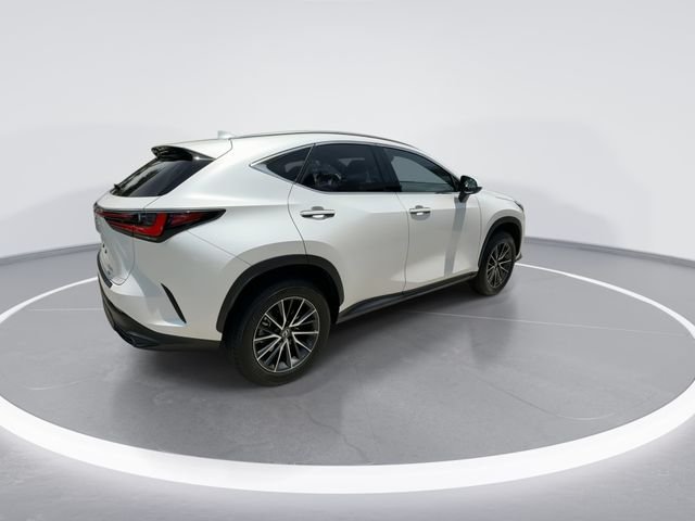 2025 Lexus NX Hybrid 350h - Photo 8