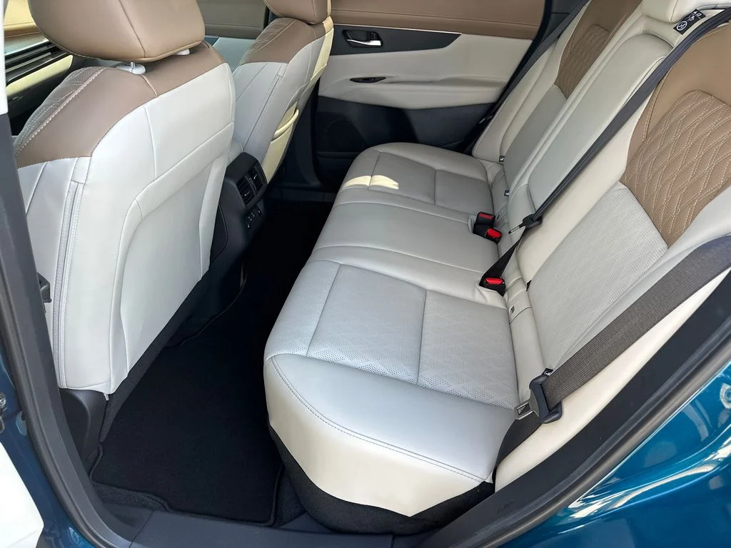 Used 2026 Blue Nissan Platinum image 21