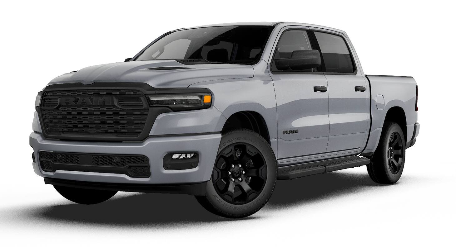 New 2027 Silver Zynith Exterior Paint RAM  image 1