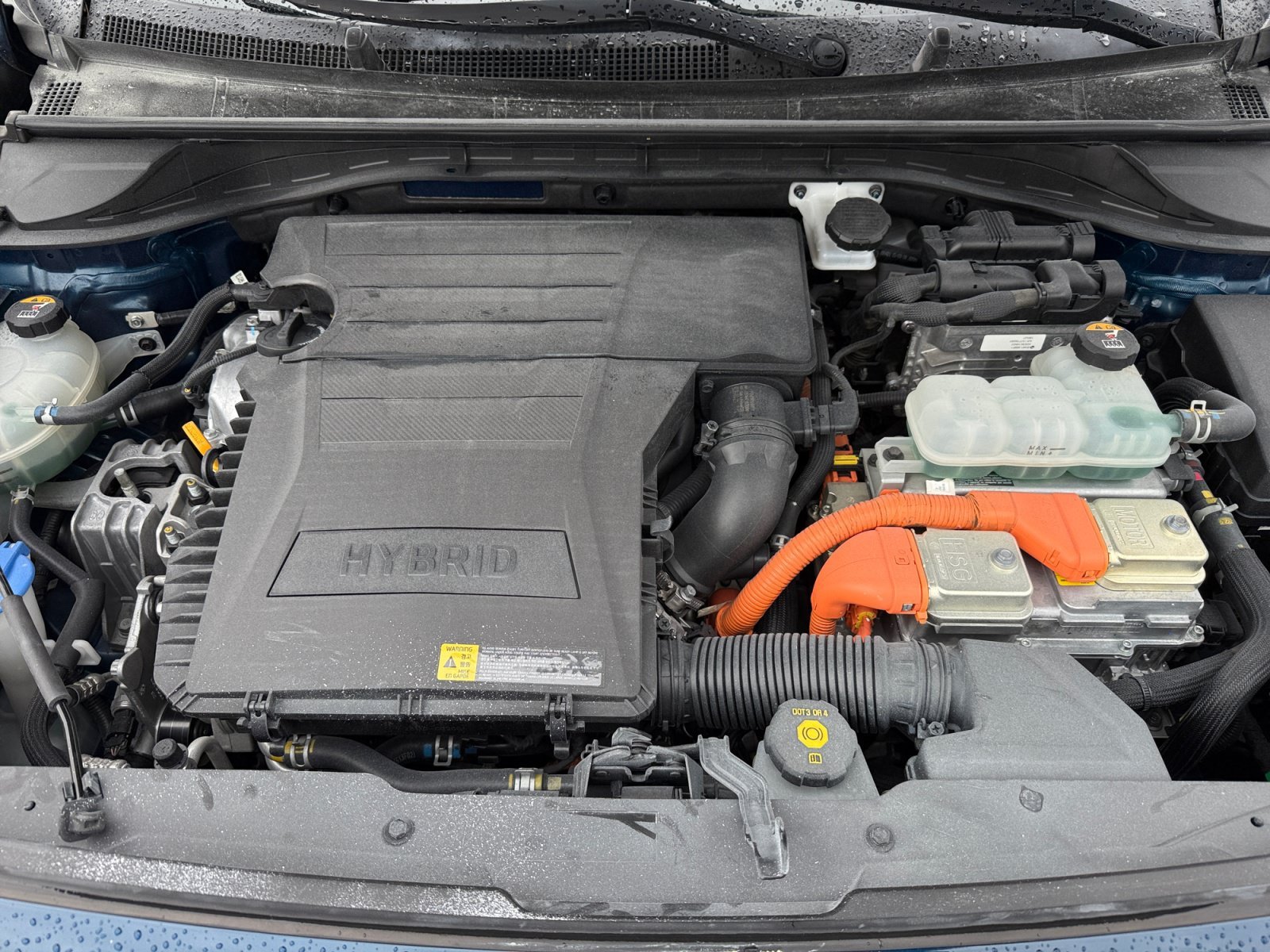 Used 2018 Deep Cerulean Kia LX image 20